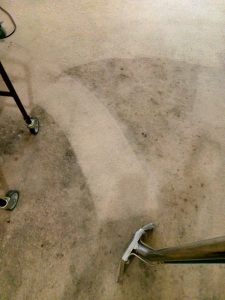 Carpet Cleaning Effectiveness Carpet Cleaning Effectiveness